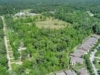 21 acres in Texas County gallery image 3