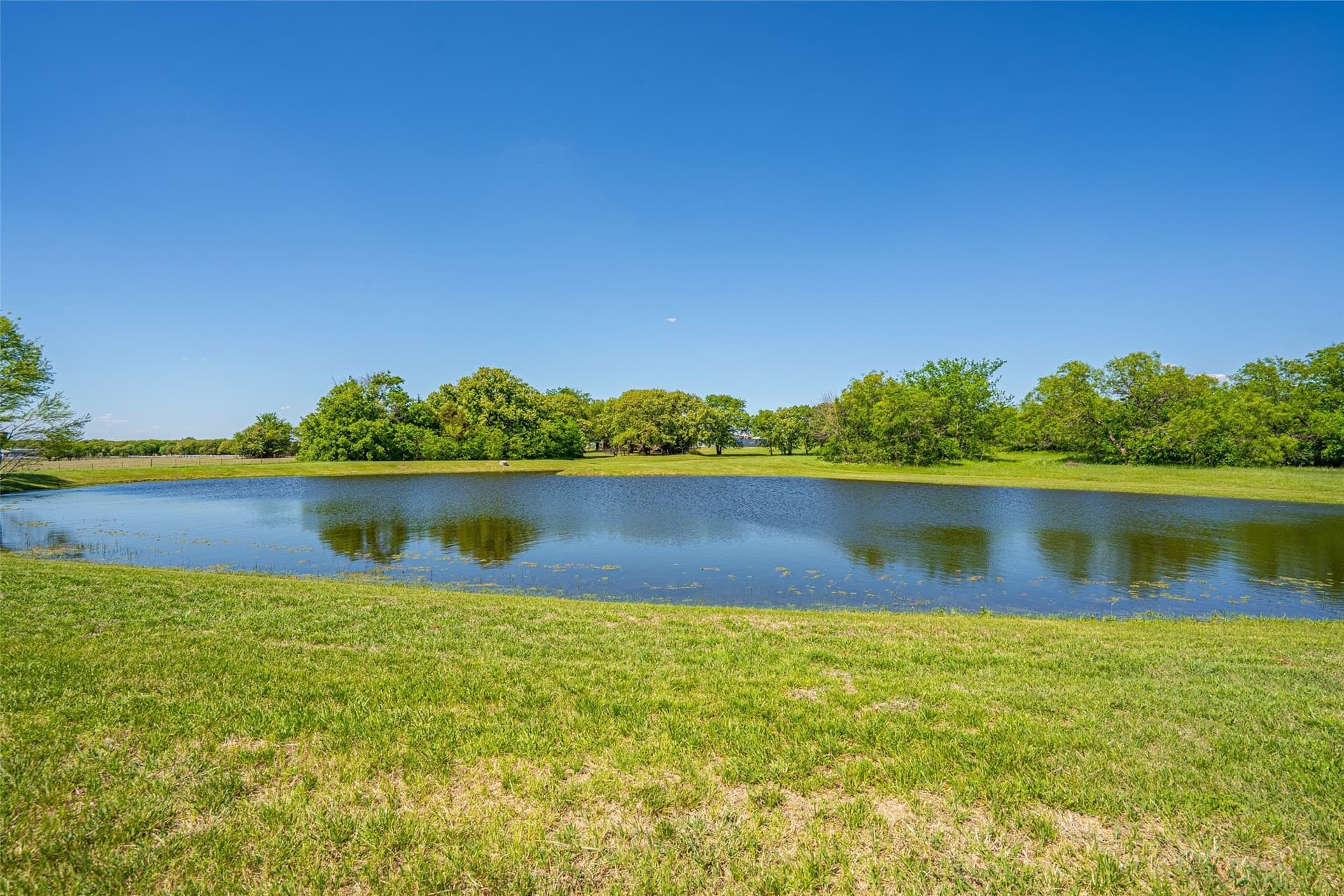 31 acres in Cooke County gallery image 3