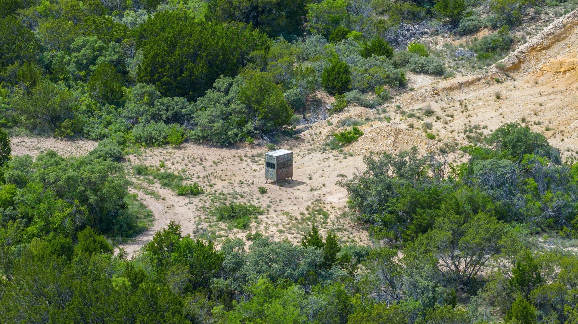 201 acres in Nolan County - photo 17