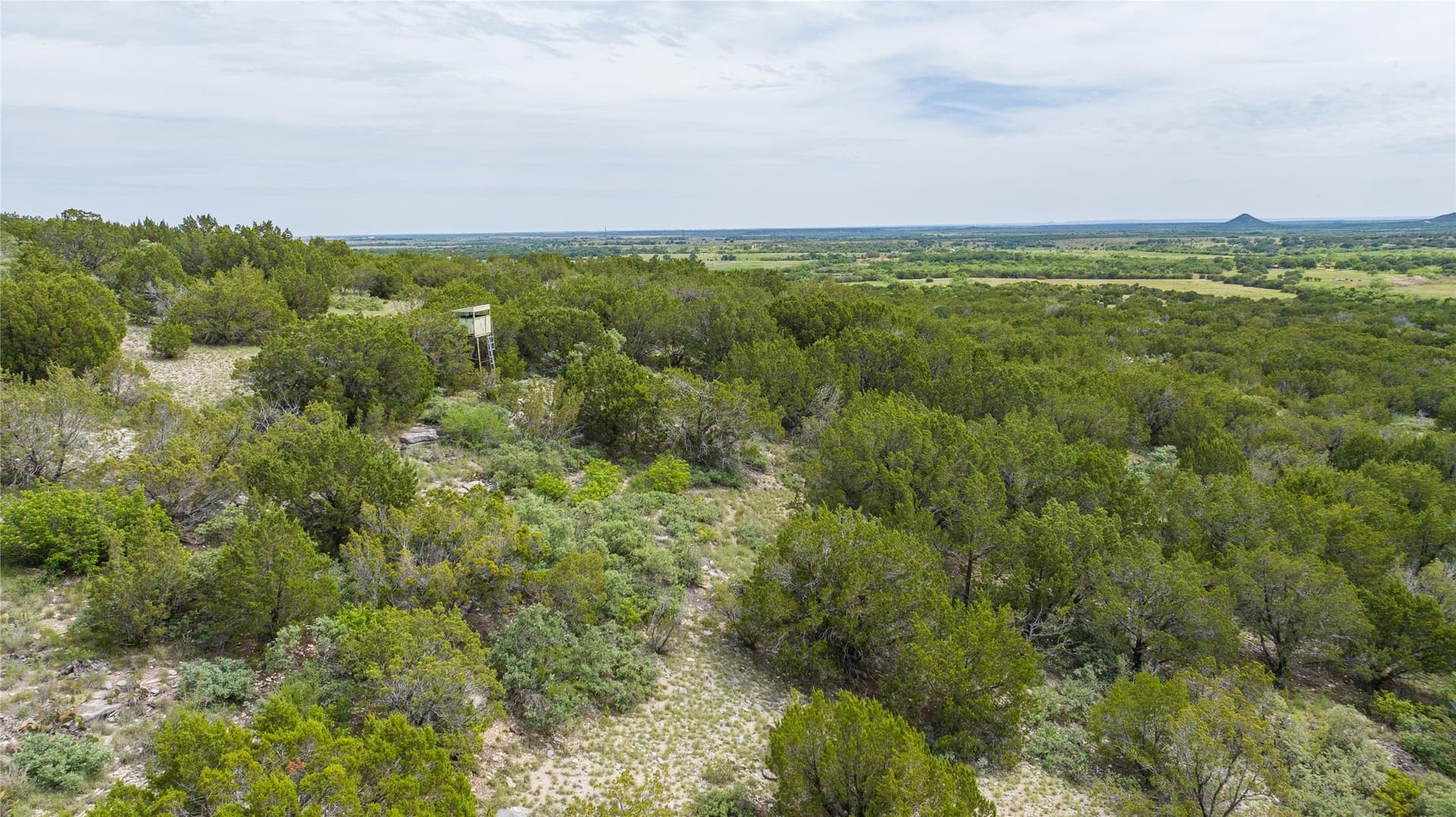 201 acres in Nolan County - photo 30