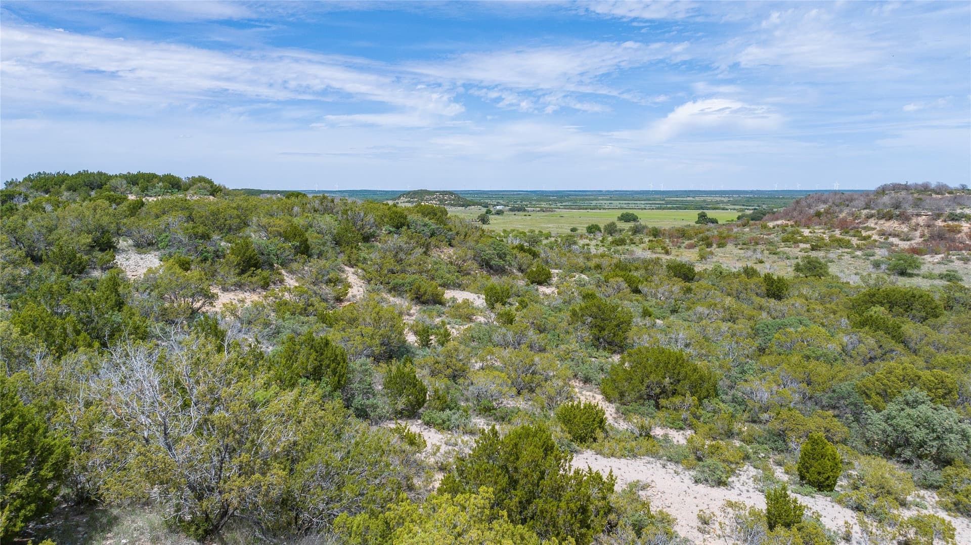 201 acres in Nolan County - photo 10