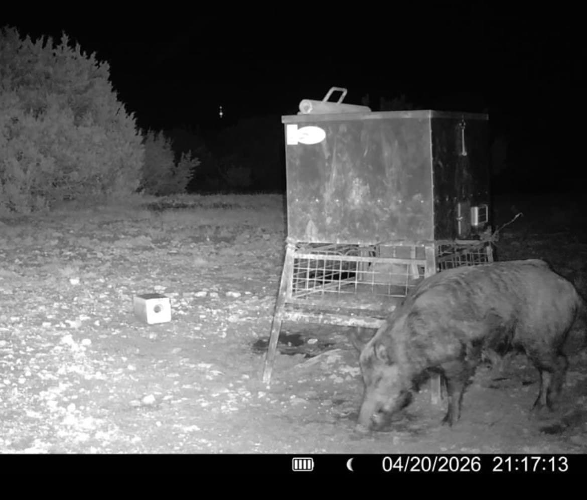 201 acres in Nolan County - photo 36