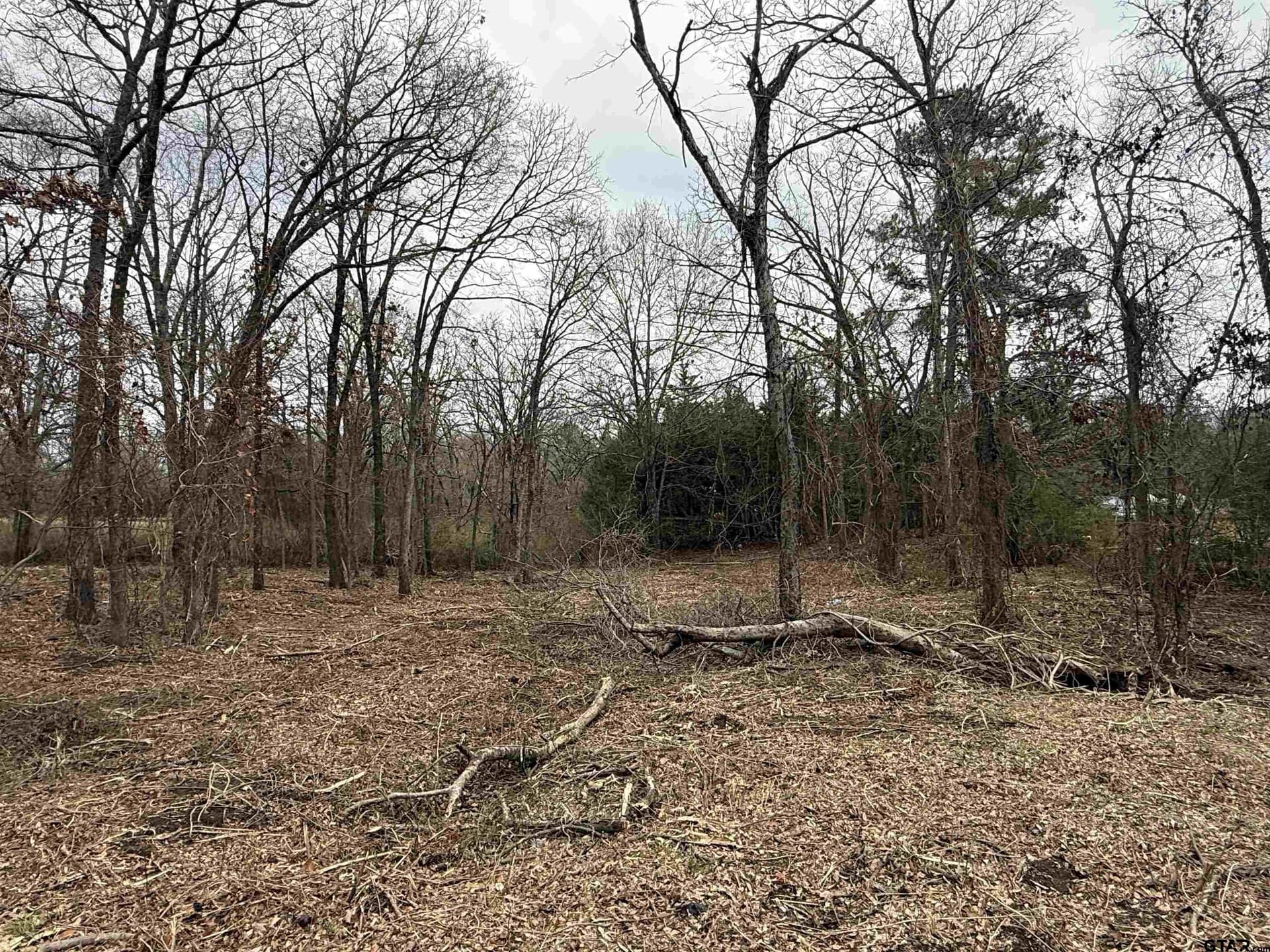 0.25 acres in Van Zandt County gallery image 3