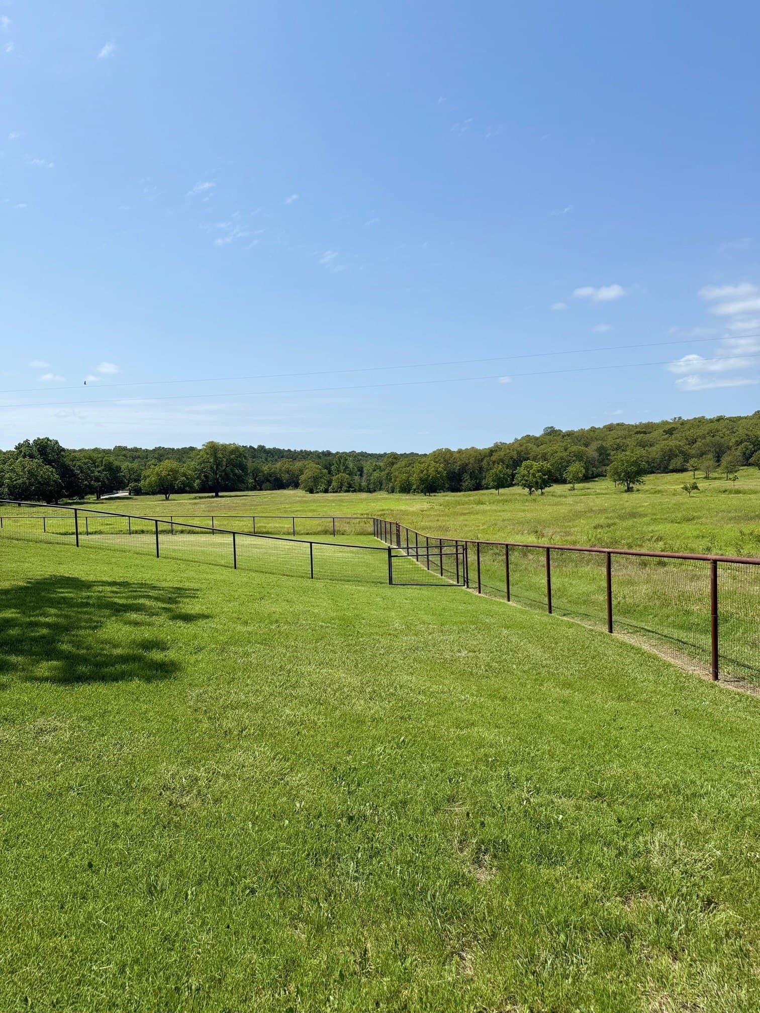 66.17 acres in Palo Pinto County featured view