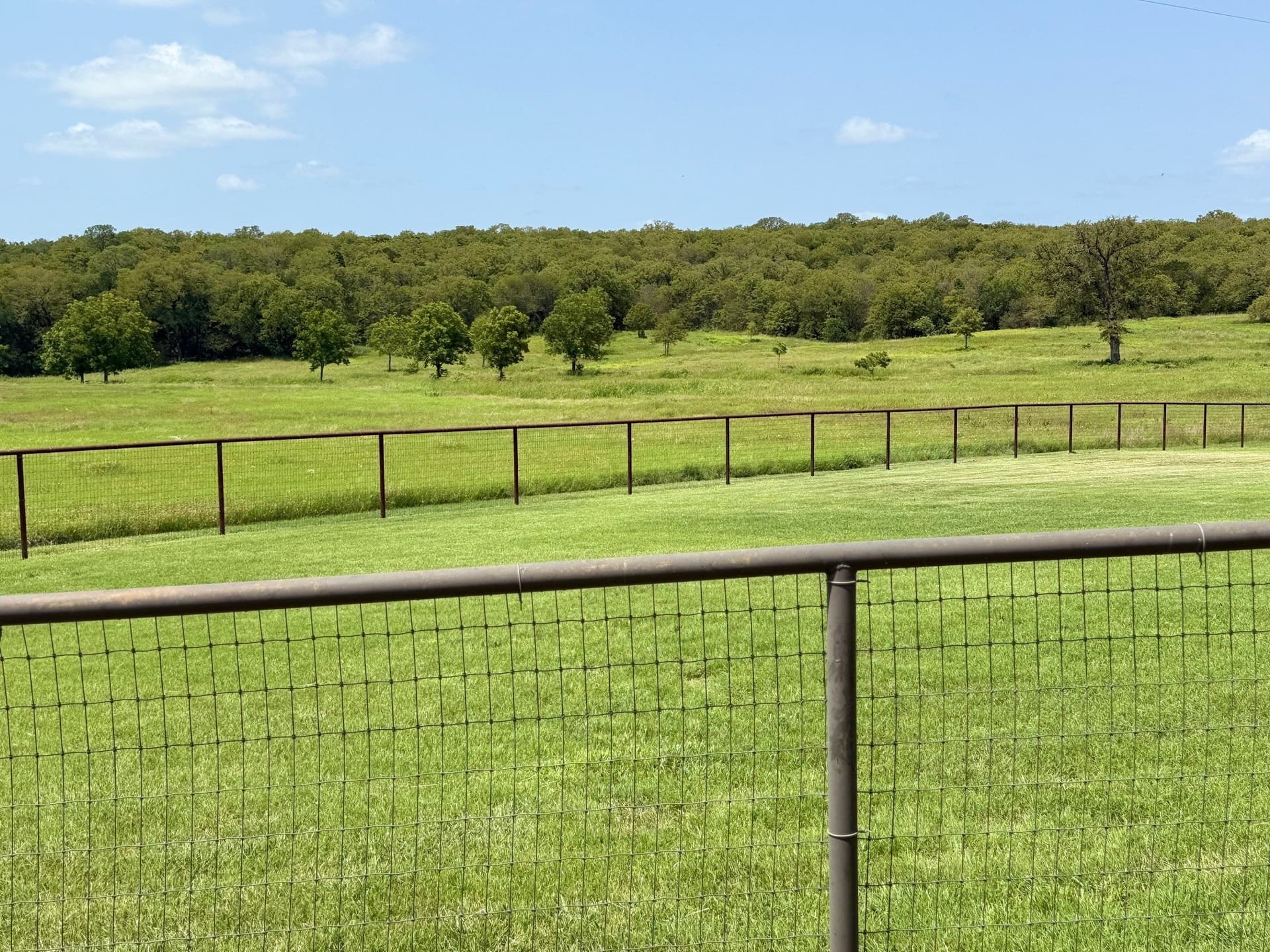 66.17 acres in Palo Pinto County gallery image 3