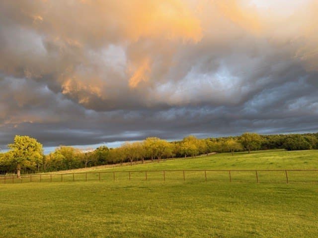 66.17 acres in Palo Pinto County
