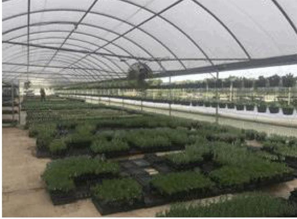 26.36 acres in Bexar County gallery image 4