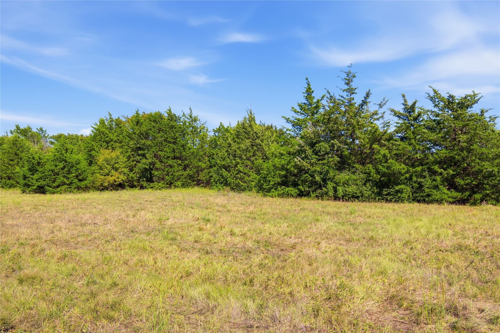 58.93 acres in Hunt County - photo 11