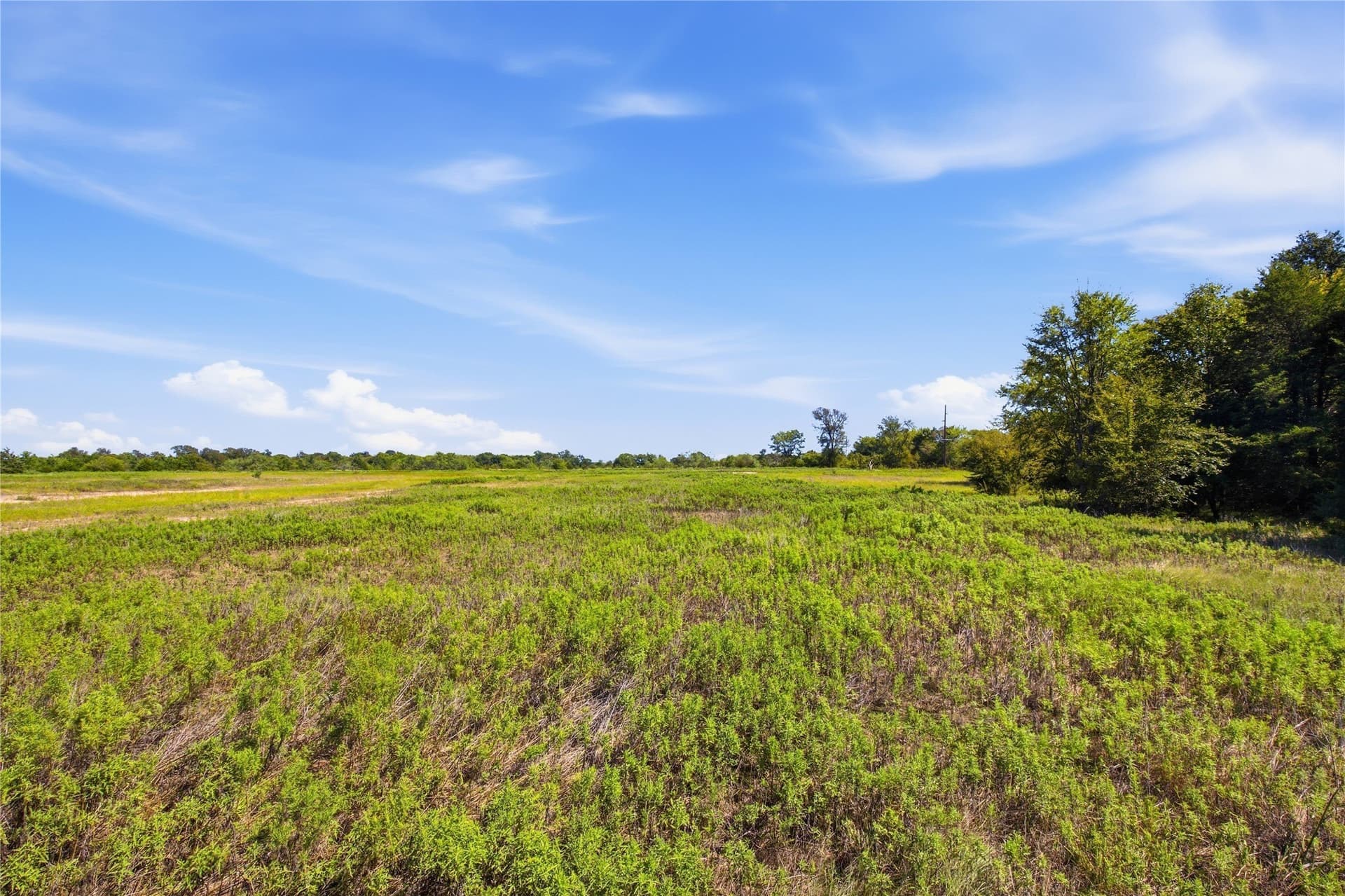 58.93 acres in Hunt County - photo 6