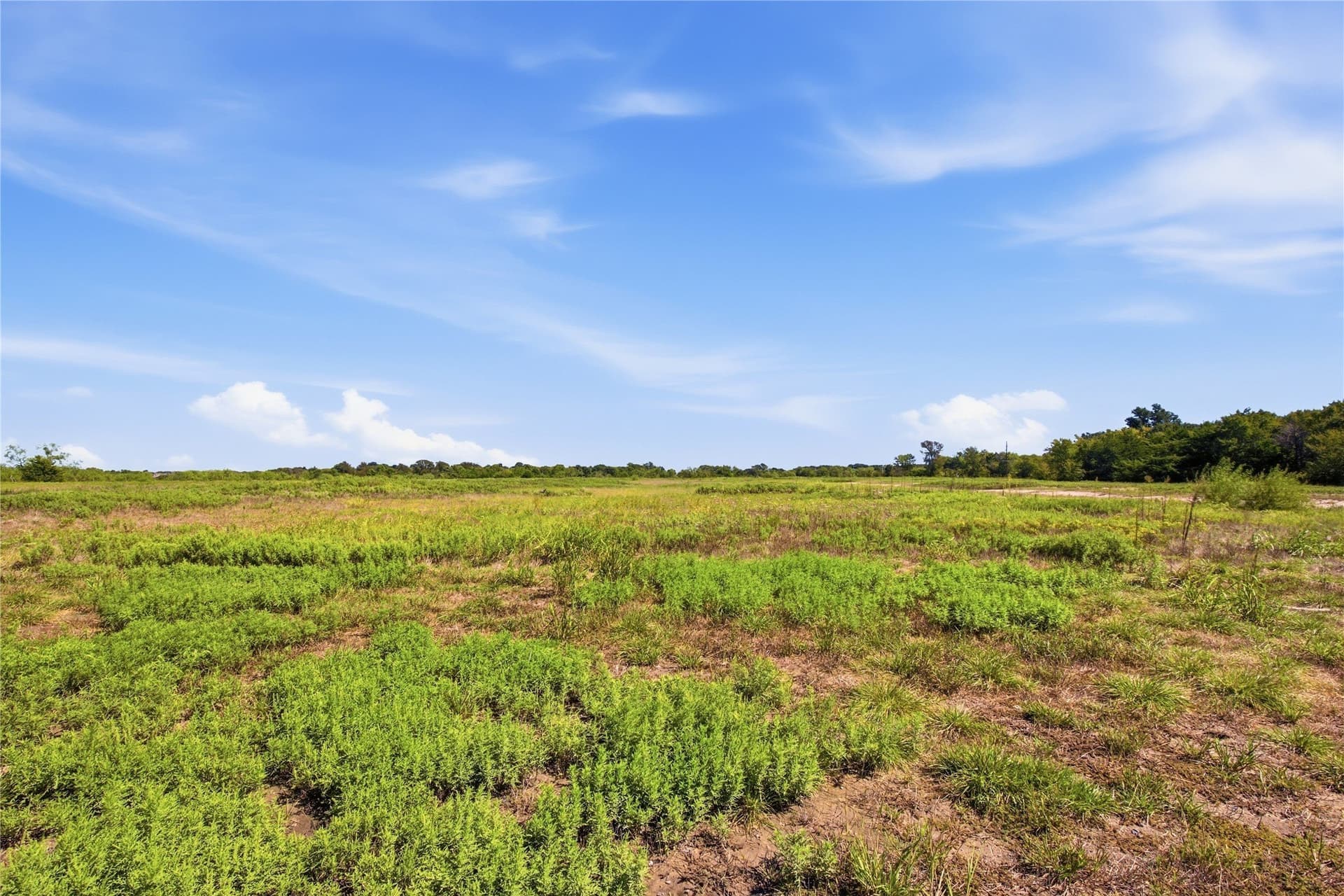 58.93 acres in Hunt County - photo 3