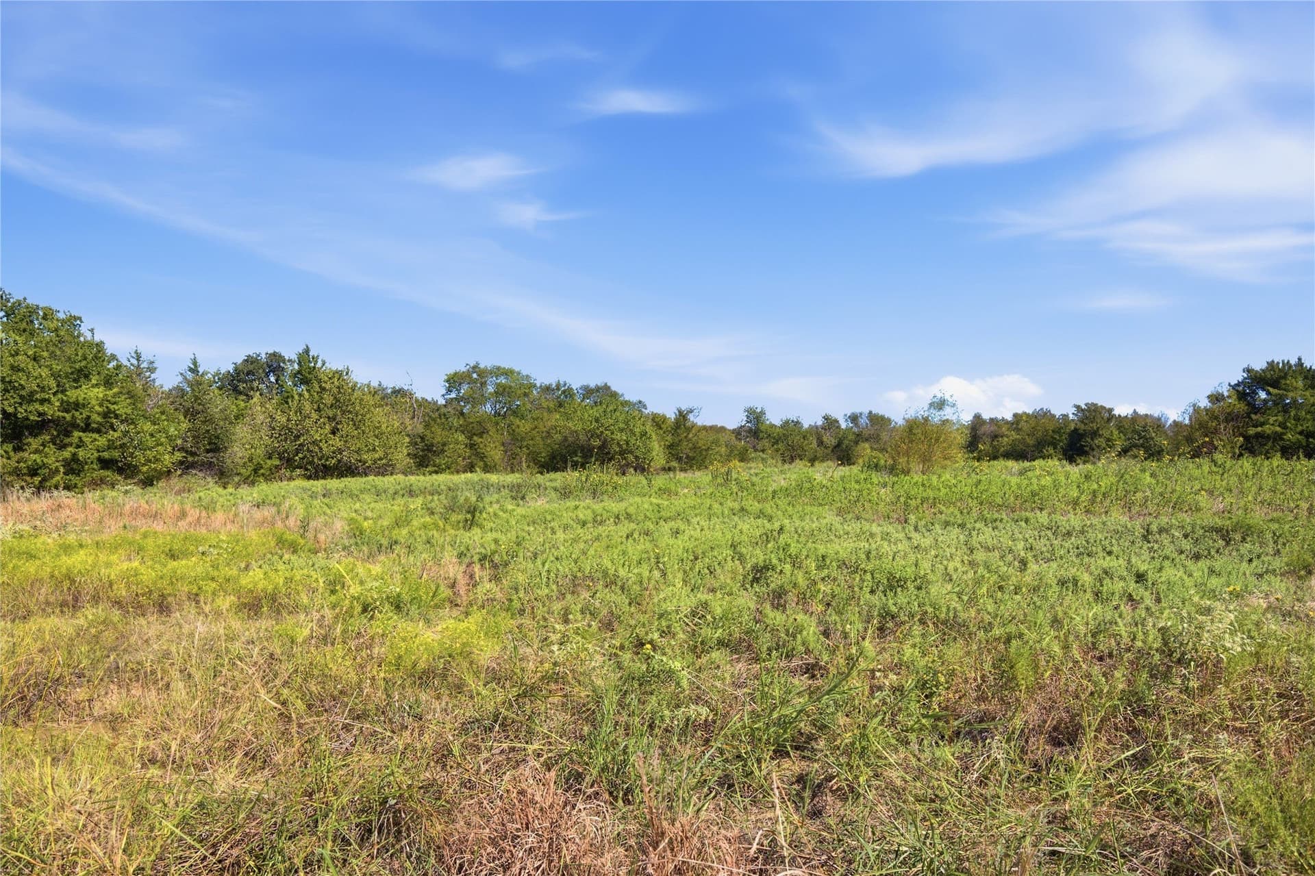 58.93 acres in Hunt County - photo 9