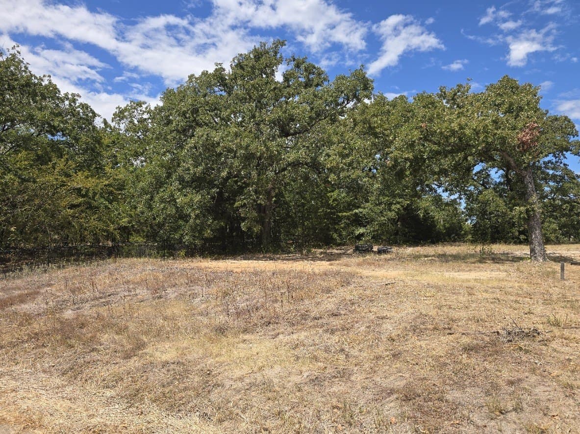 0.15 acres in Henderson County - photo 4
