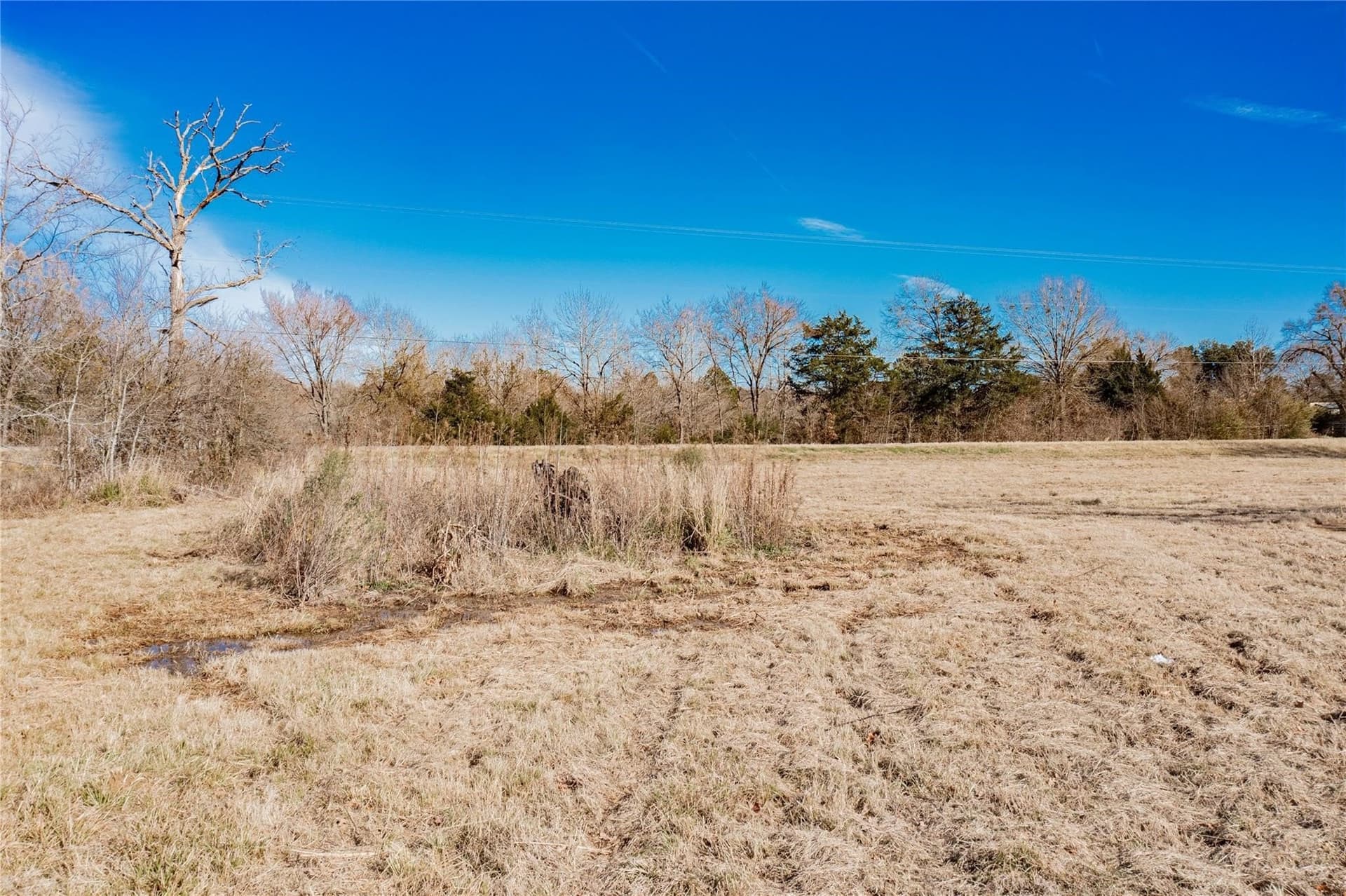 0.5 acres in Wood County - photo 15