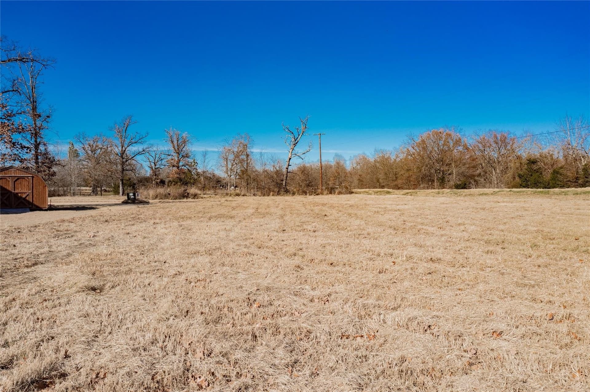 0.5 acres in Wood County - photo 16