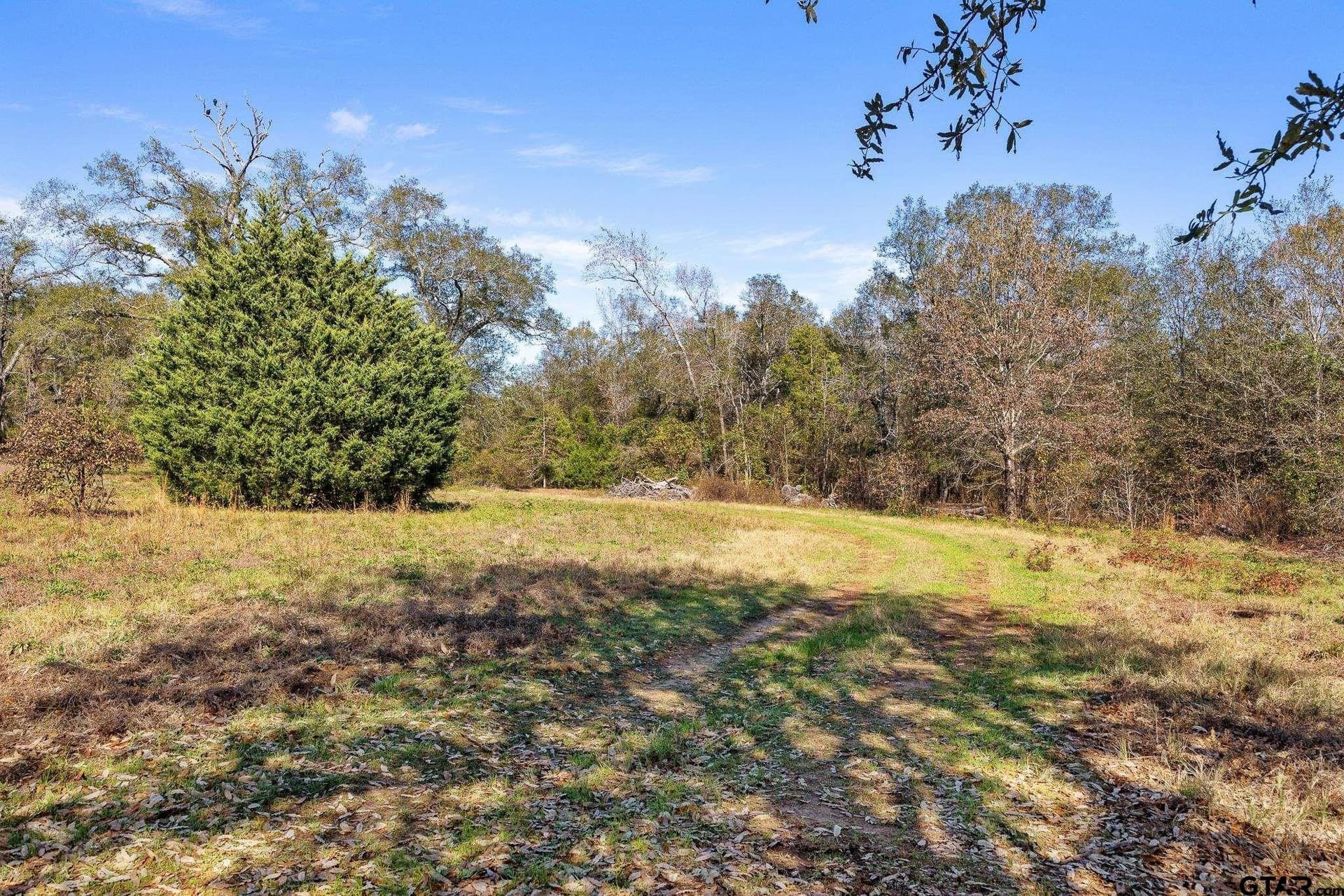 68.36 acres in Smith County - photo 5