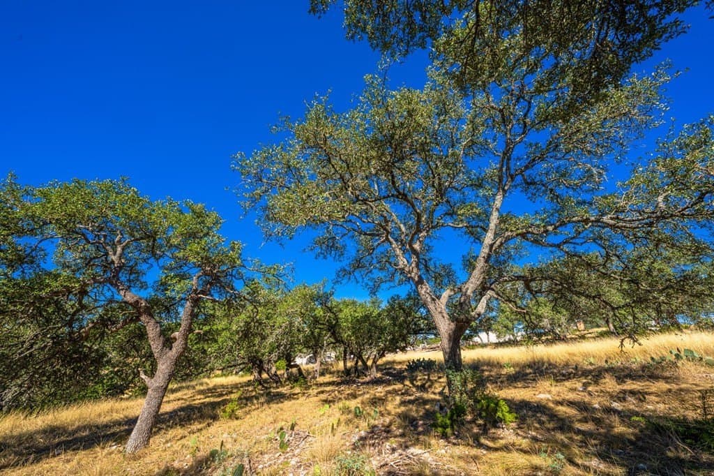 5.18 acres in Gillespie County - photo 11