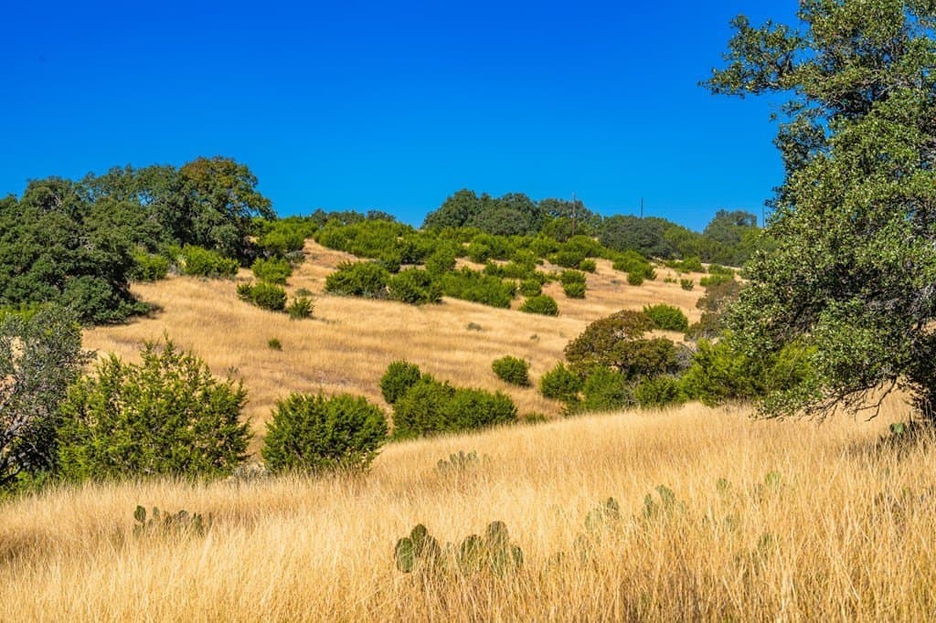 5.18 acres in Gillespie County - photo 12