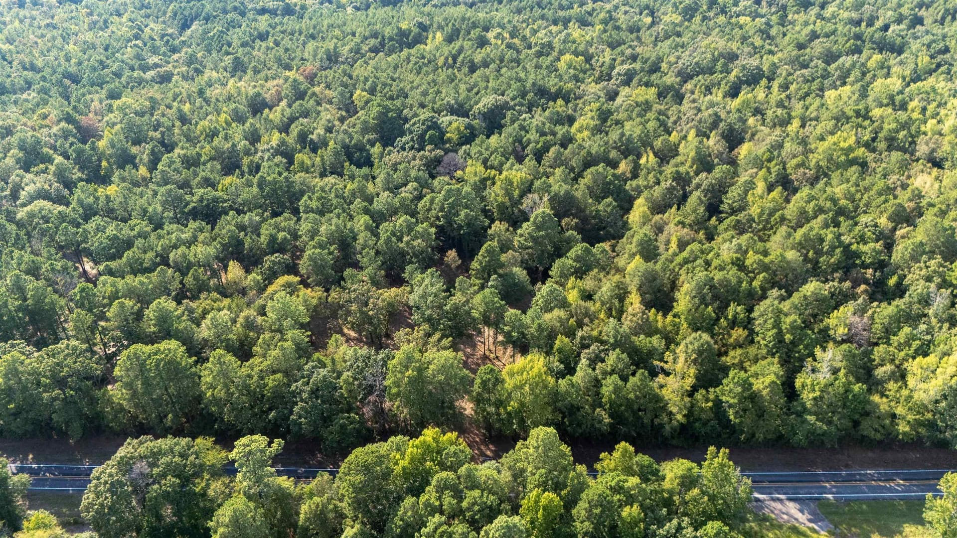 23.04 acres in Texas County