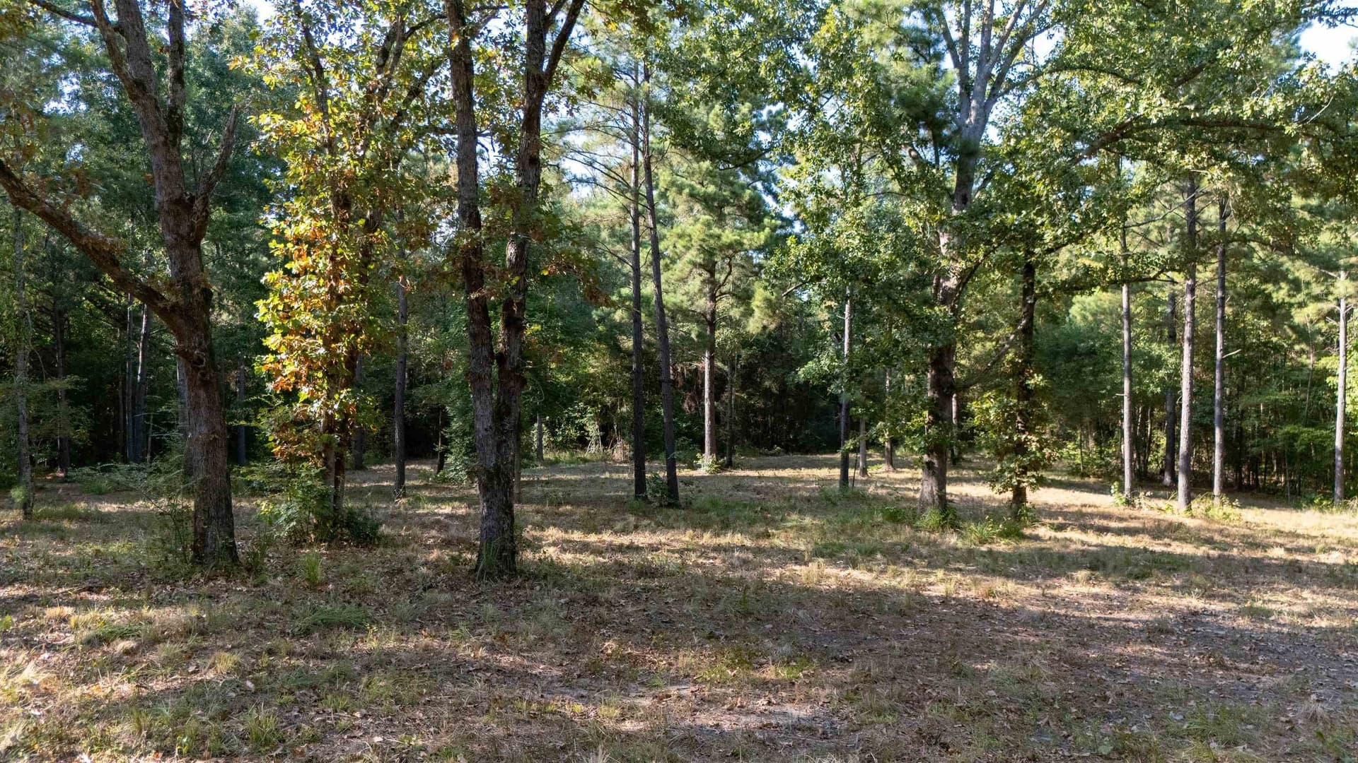 23.04 acres in Texas County - photo 3