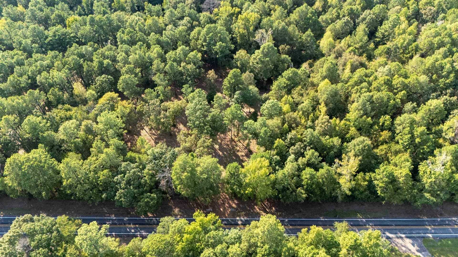 23.04 acres in Texas County - photo 10