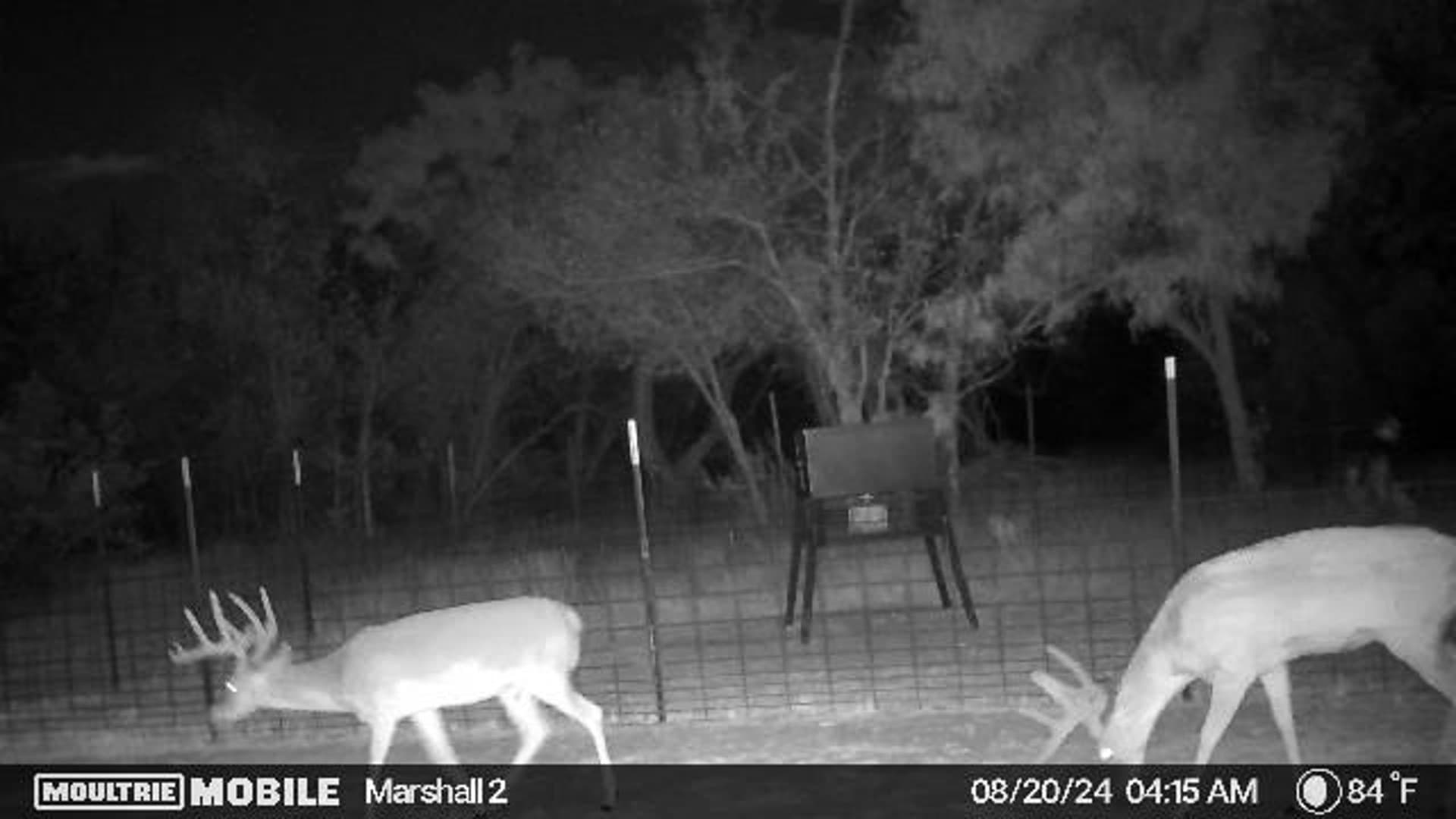 310.19 acres in Coleman County - photo 38
