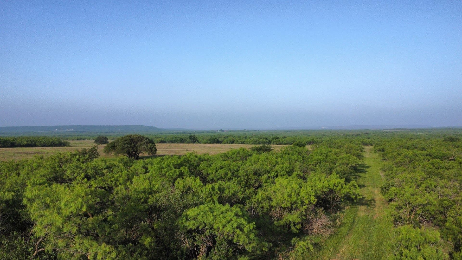 310.19 acres in Coleman County - photo 27