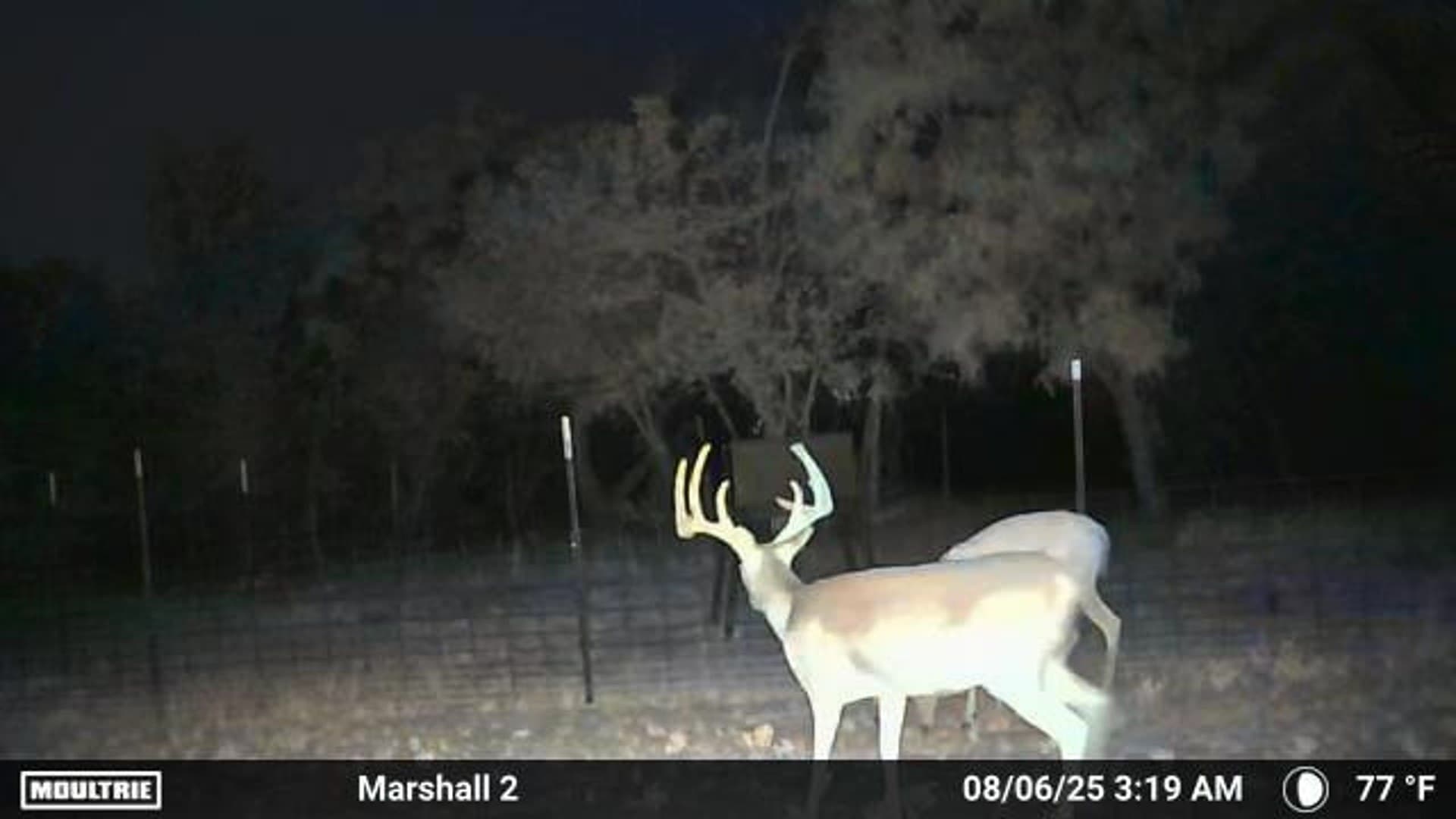 310.19 acres in Coleman County - photo 37