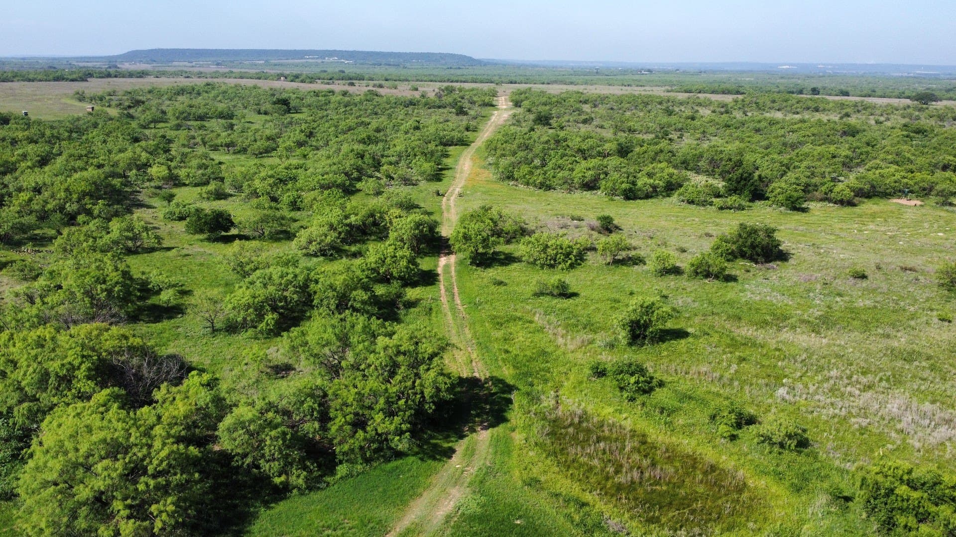 310.19 acres in Coleman County - photo 33
