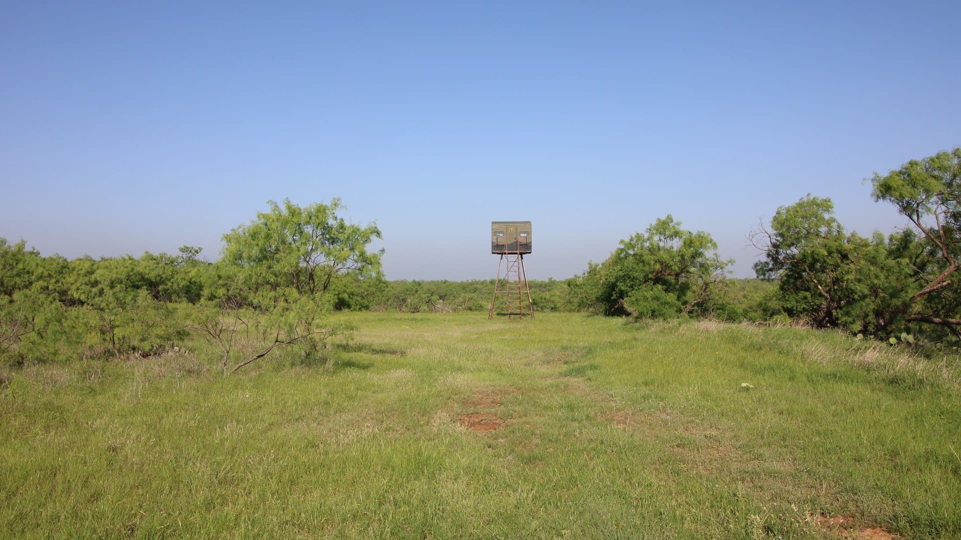 310.19 acres in Coleman County - photo 31