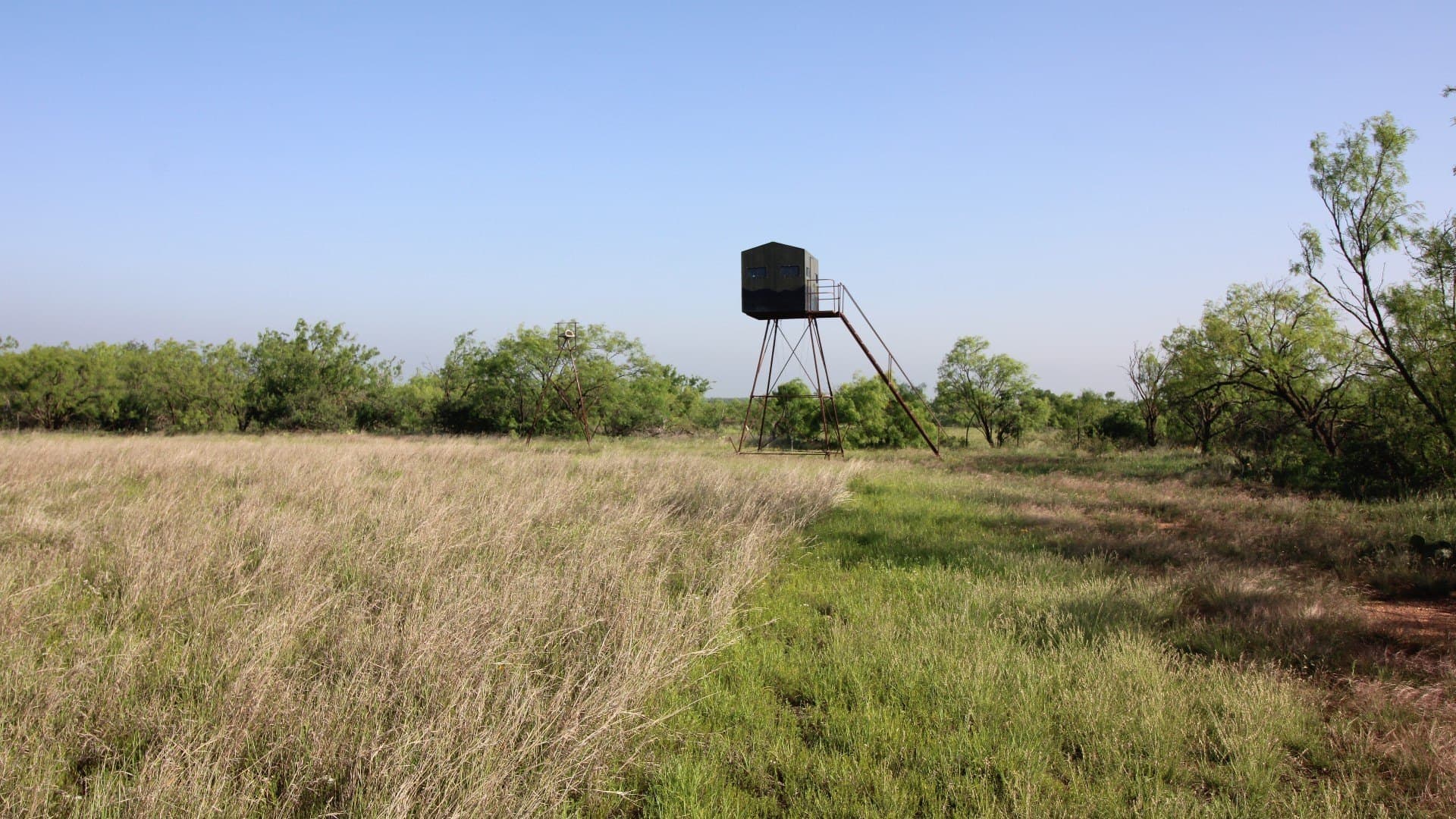 310.19 acres in Coleman County - photo 25