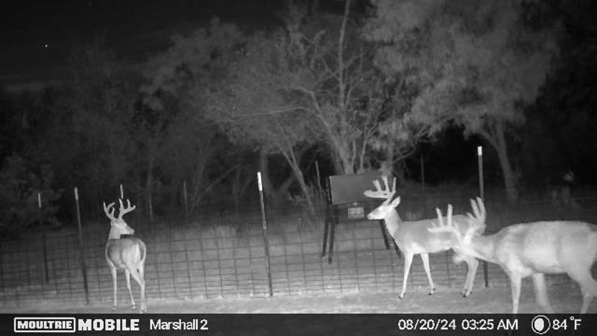 310.19 acres in Coleman County - photo 36
