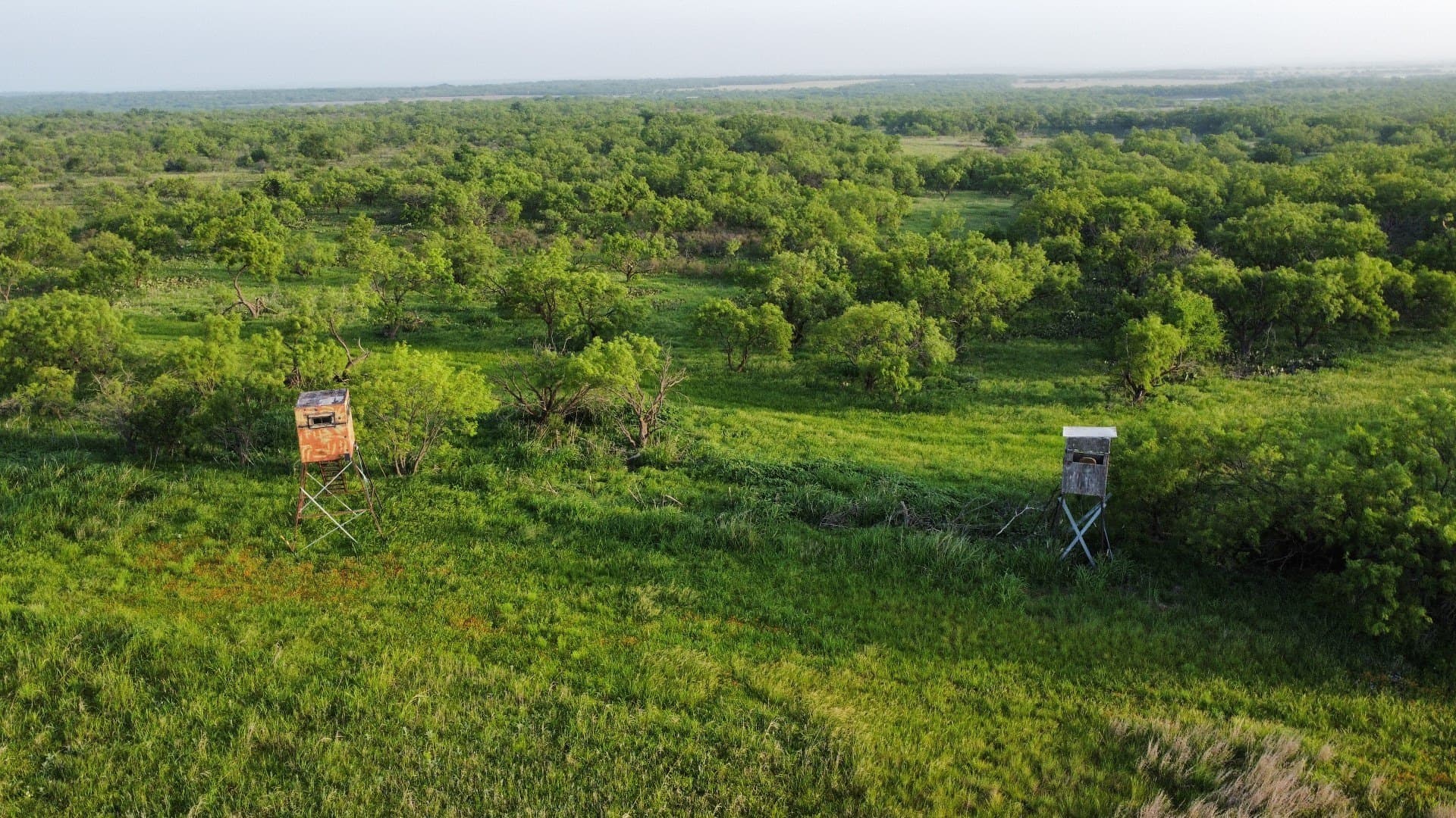 310.19 acres in Coleman County - photo 28