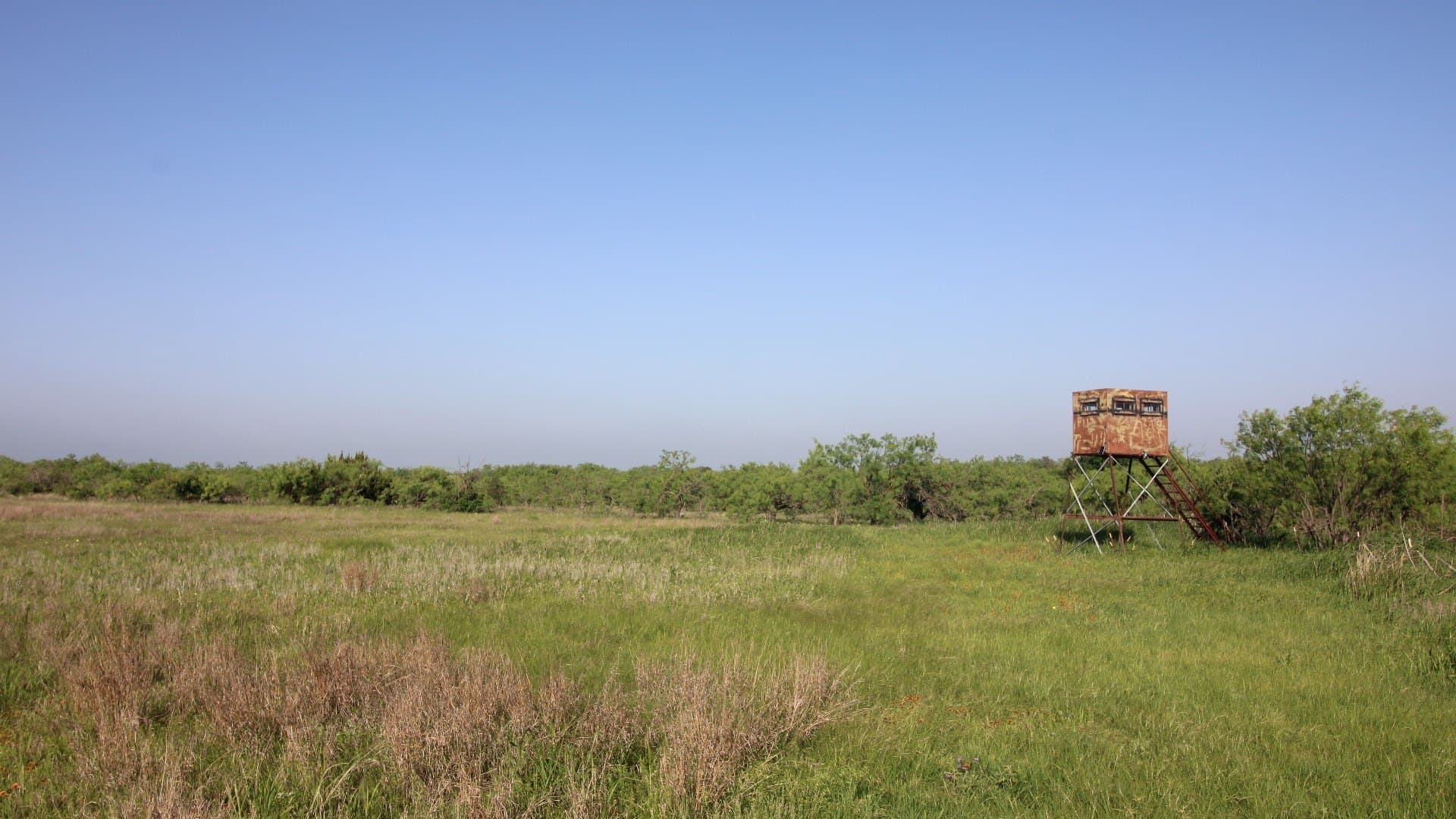 310.19 acres in Coleman County - photo 29