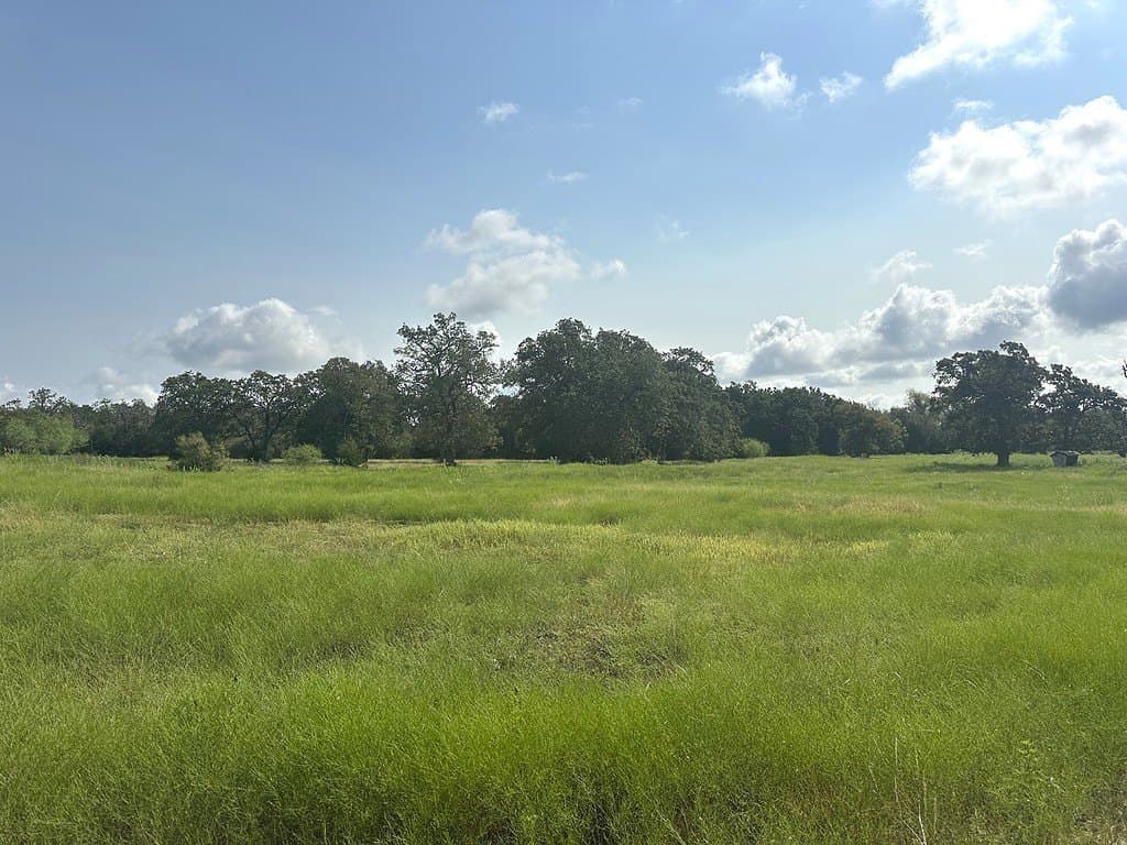 43.82 acres in Fayette County - photo 9