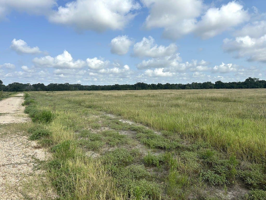 43.82 acres in Fayette County featured view