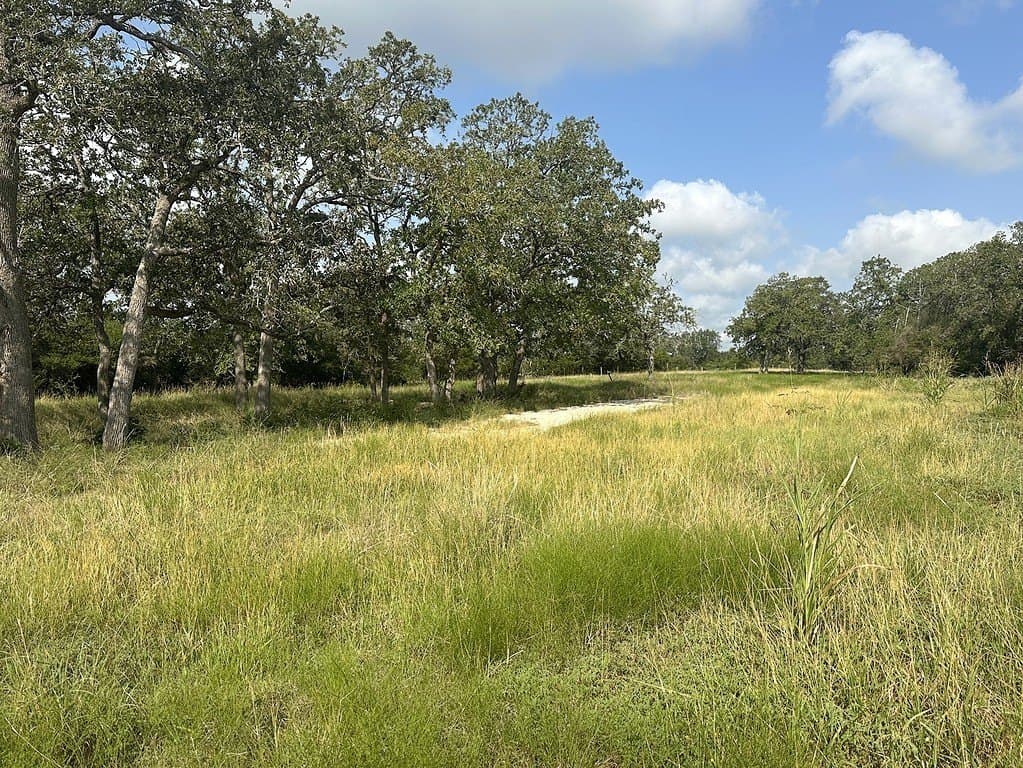 43.82 acres in Fayette County - photo 11