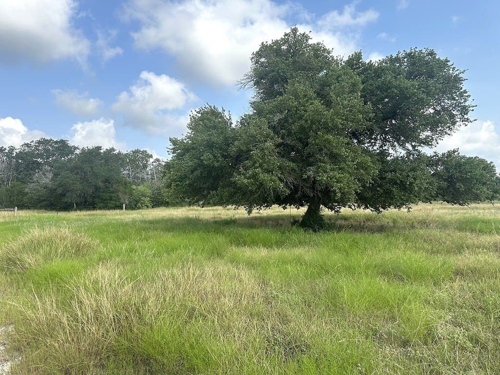 43.82 acres in Fayette County