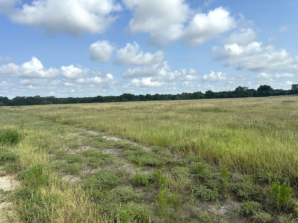 43.82 acres in Fayette County - photo 6