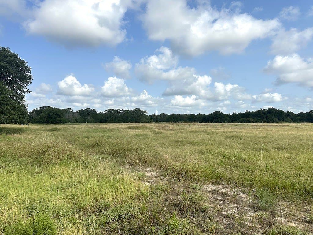 43.82 acres in Fayette County - photo 7