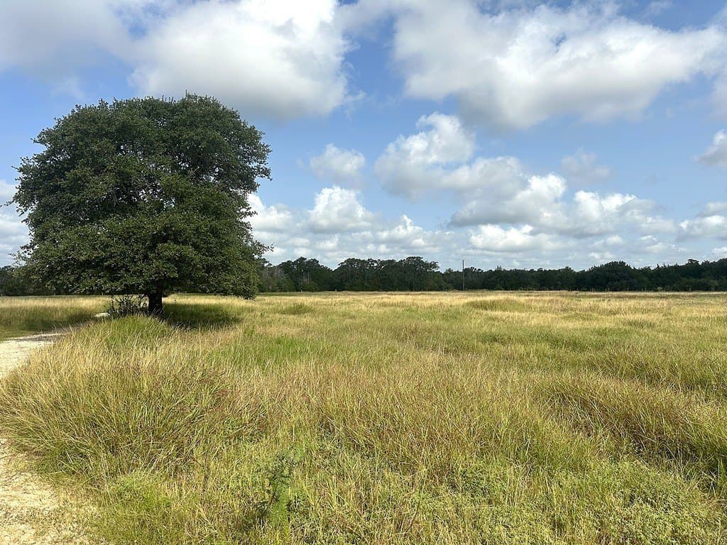 43.82 acres in Fayette County - photo 8