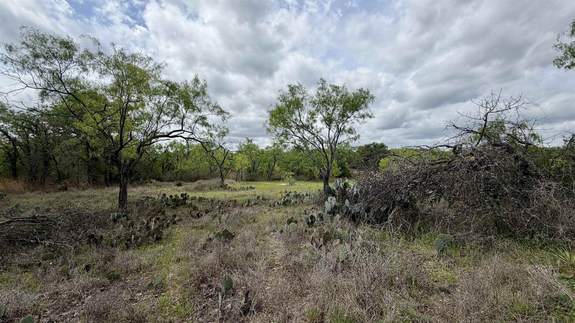 0.28 acres in Llano County - photo 7