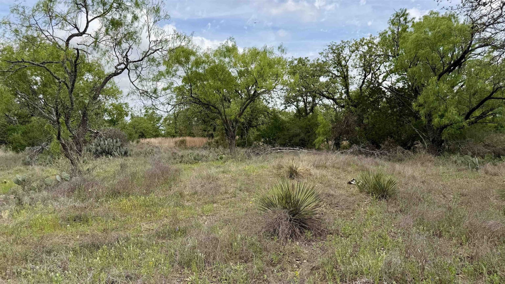 0.28 acres in Llano County - photo 14