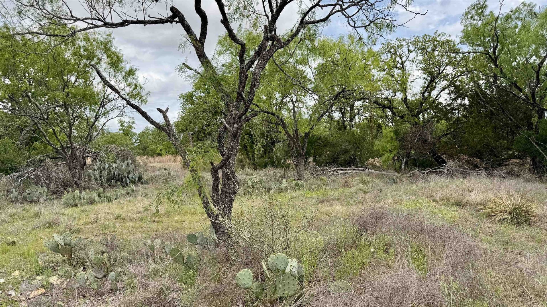 0.28 acres in Llano County - photo 10