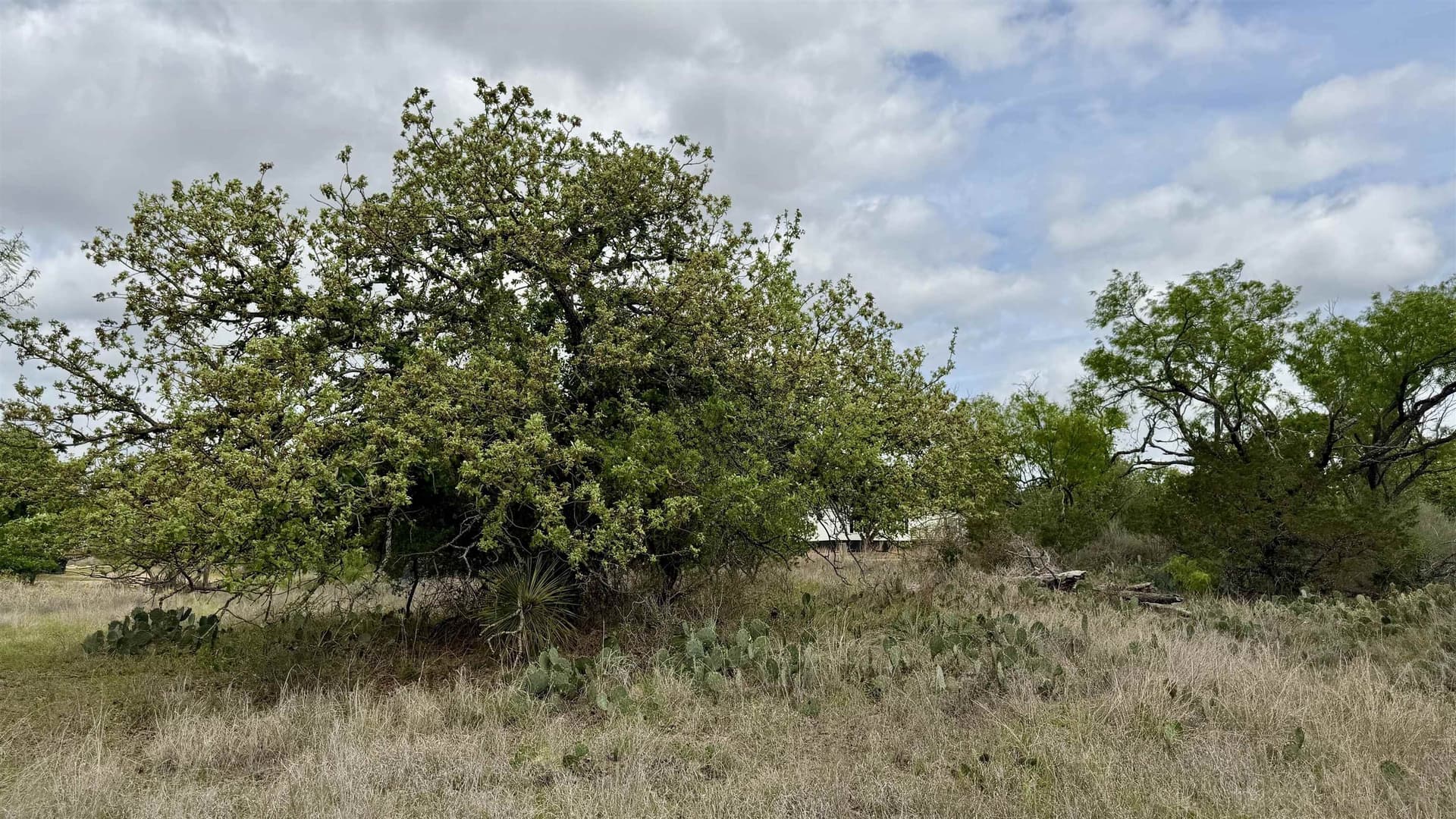 0.28 acres in Llano County - photo 17