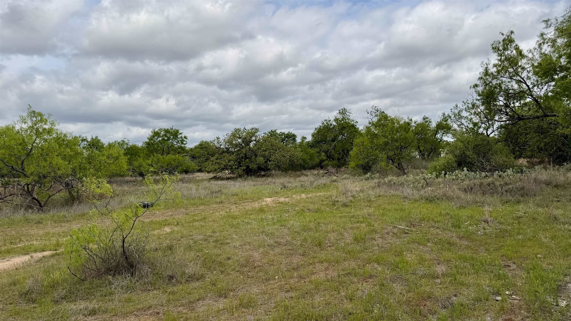 0.28 acres in Llano County - photo 12