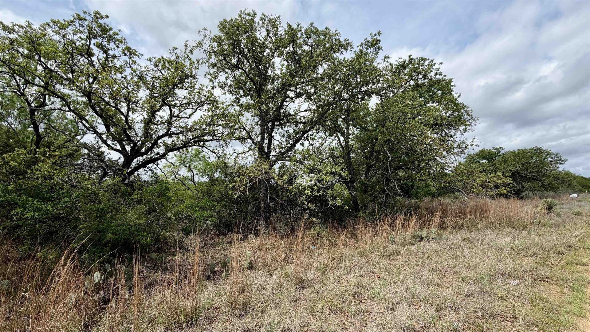 0.28 acres in Llano County - photo 6