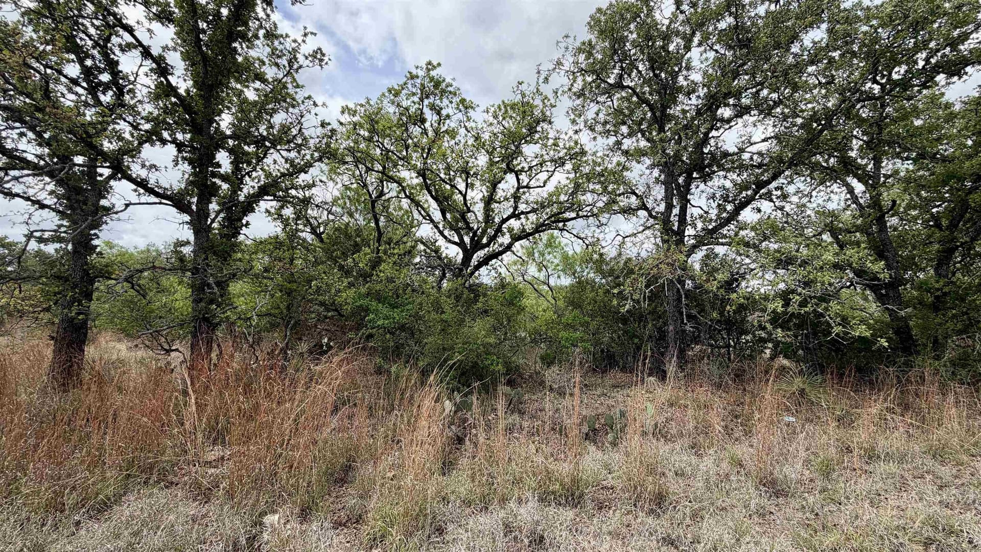 0.28 acres in Llano County gallery image 4