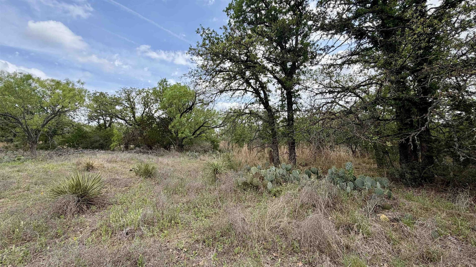 0.28 acres in Llano County - photo 15