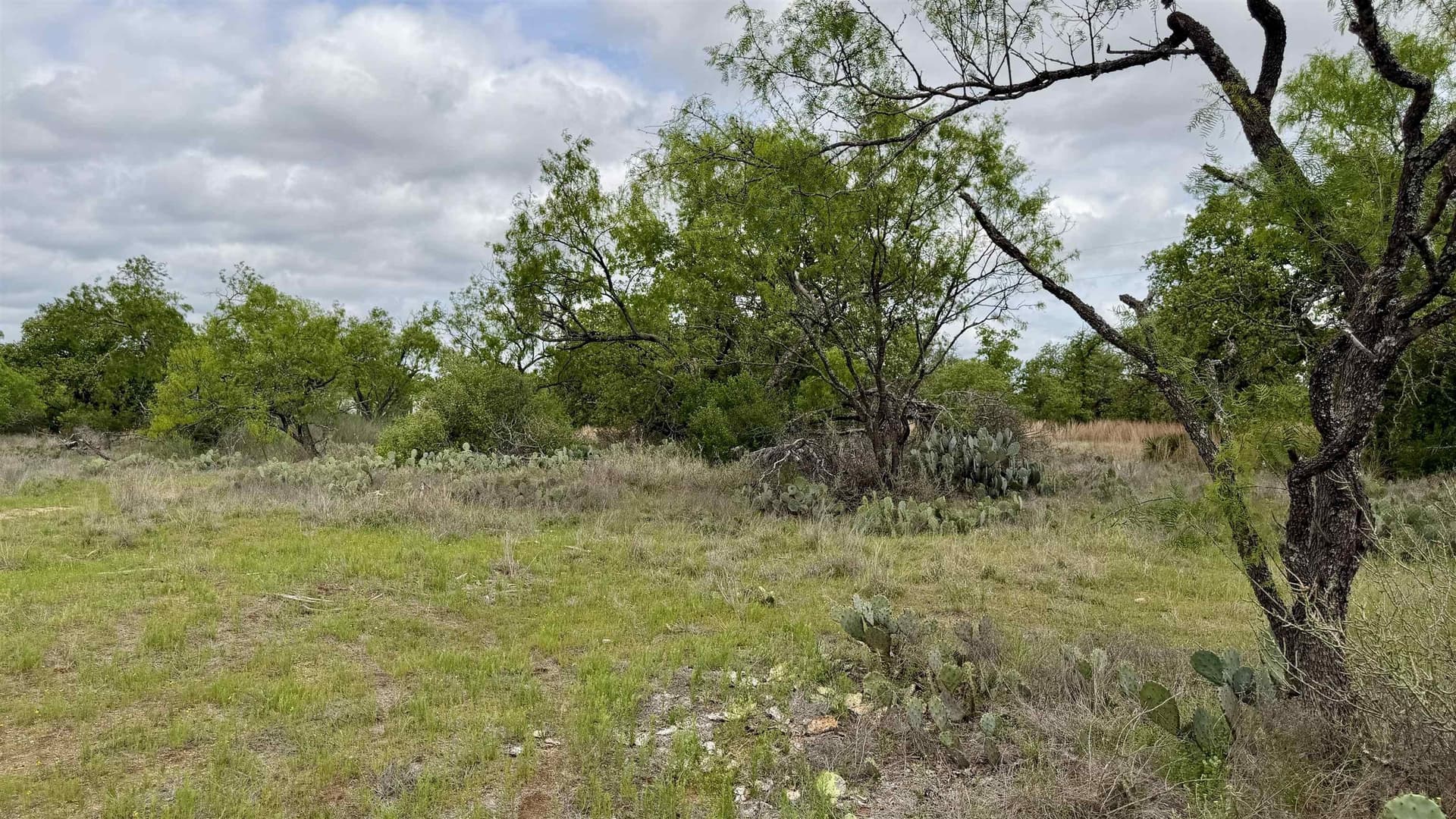 0.28 acres in Llano County - photo 9