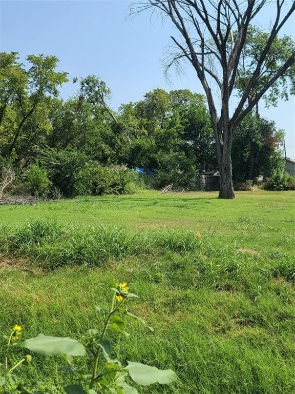 0.07 acres in Dallas County gallery image 2